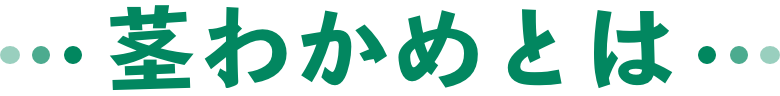 茎わかめとは